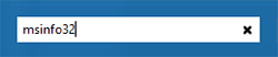 Windowssuche nach msinfo32
